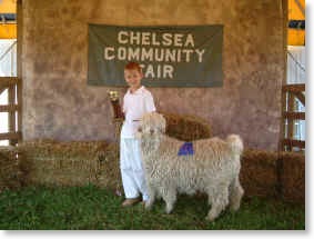 Boy and goat at the Fair