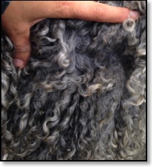 stella's mohair fleece
