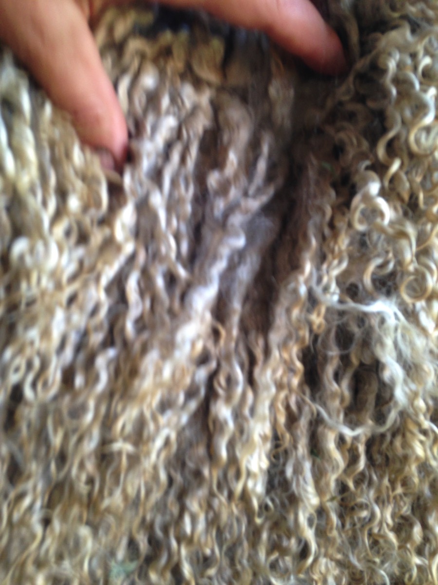 mohair fleece