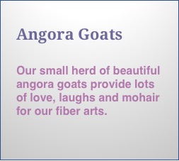angora goats