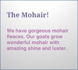 mohair