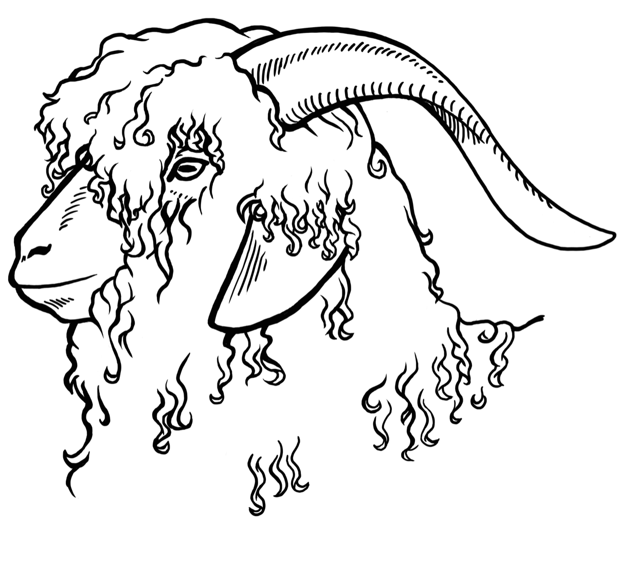 Stacks Image 19